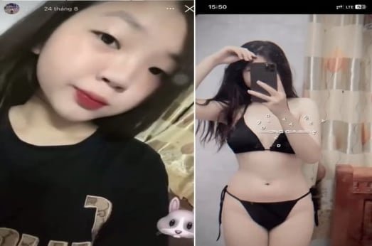 Thỏ nứng với con bướm hư hỏng